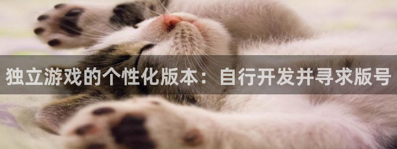 杏耀官网解绑银行卡怎么弄：独立游戏的个性化版本：自行开发并寻求版号