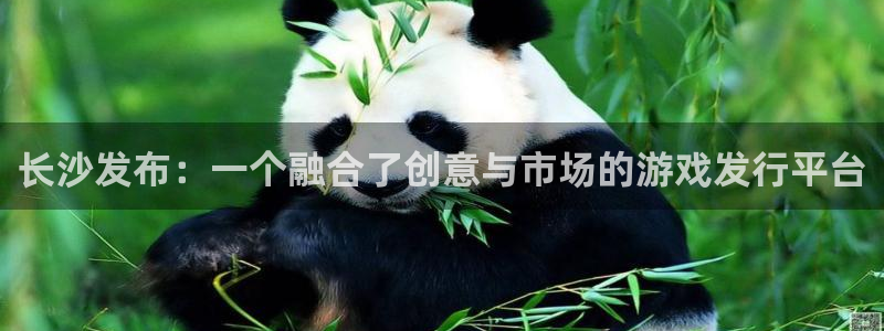 杏耀官网怎么注册账号：长沙发布：一个融合了创意与市场的游戏发行平台