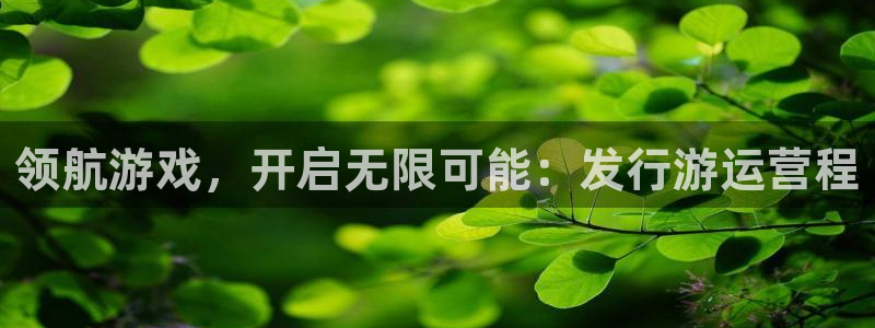 深圳市杏耀科技有限招聘公司：领航游戏，开启无限可能：发行游运营程