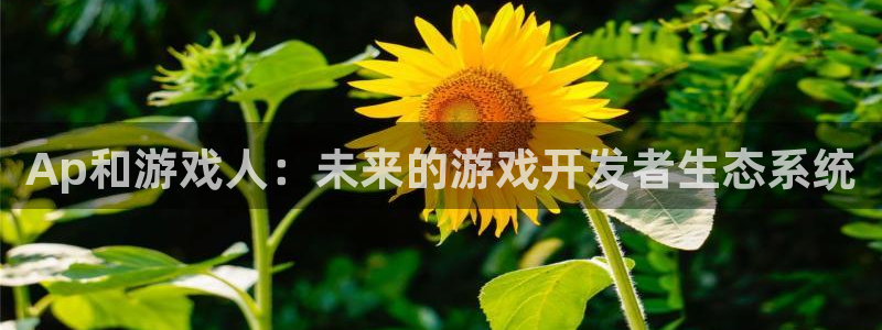广东杏耀：Ap和游戏人：未来的游戏开发者生态系统