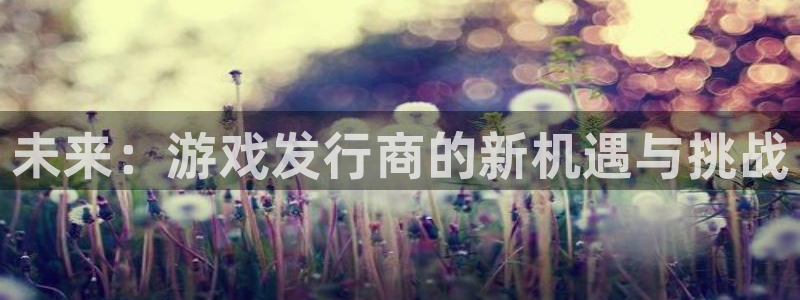 杏耀图片：未来：游戏发行商的新机遇与挑战