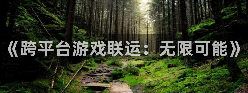 杏耀超纯啤酒怎么样：《跨平台游戏联运：无限可能》