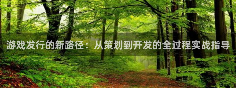 杏耀官网登录注册不了怎么回事：游戏发行的新路径：从策划到开发的全过程实战指导
