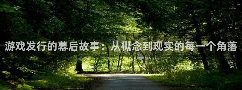 杏耀官网代理注册不了：游戏发行的幕后故事：从概念到现实的每一个角落