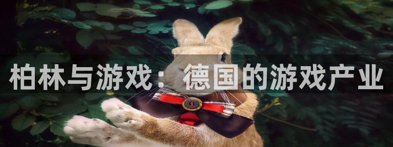 杏耀电子商务怎么样