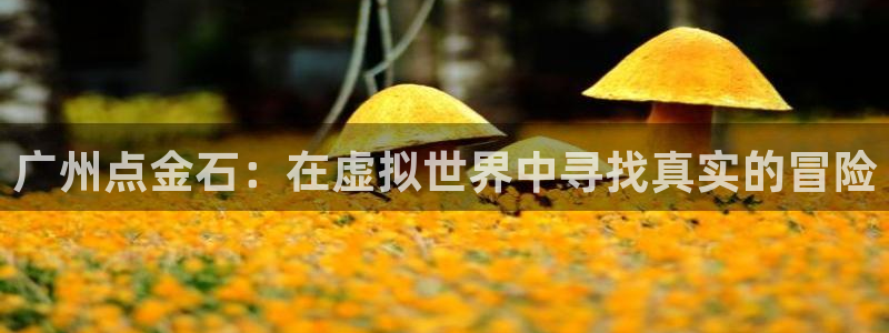 江苏杏耀智得新材料有限公司